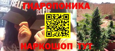 МДПВ Волжск