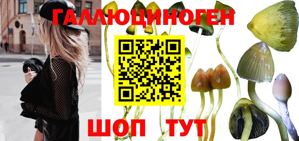 Псилоцибиновые грибы GOLDEN TEACHER  Вход с VPN  Урай 